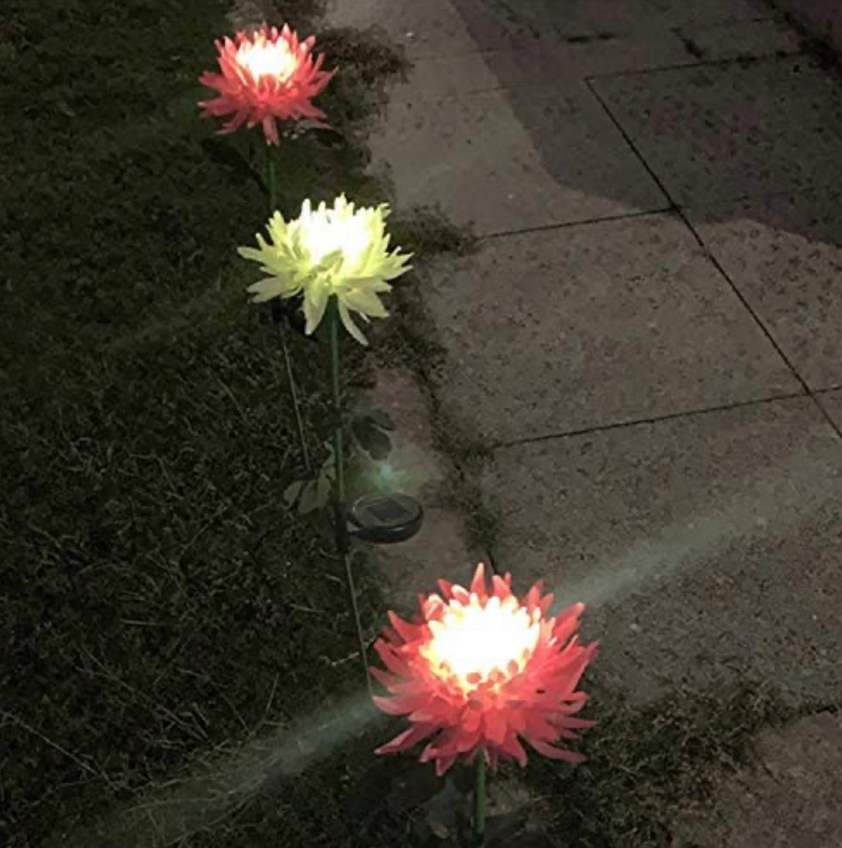 Lampe solaire LED Lighteme, chrysanthème artificiel (lot de 3)
