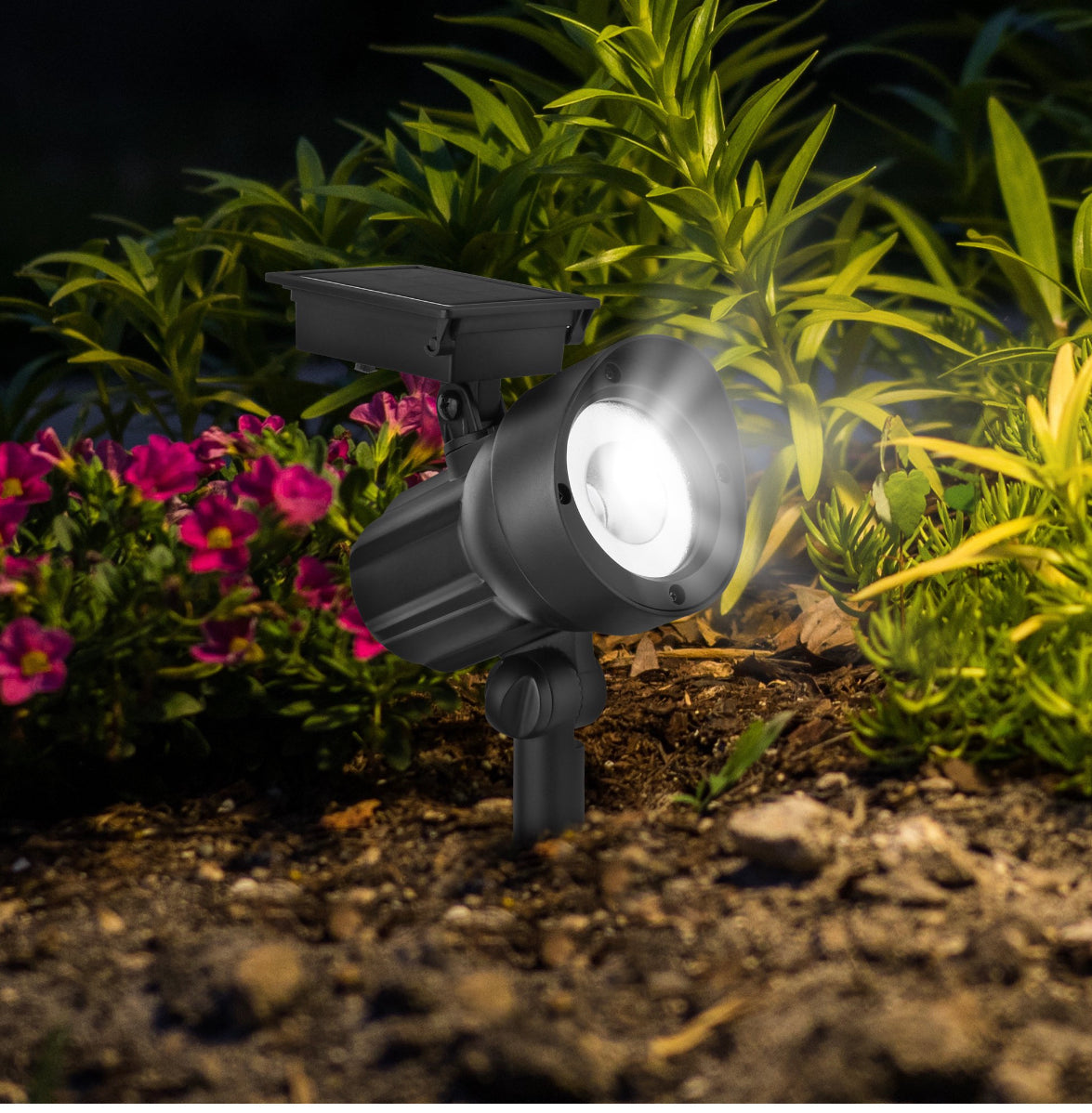 Lot de 5 spots solaires d'extérieur Lighteme 50 lumens, noir 