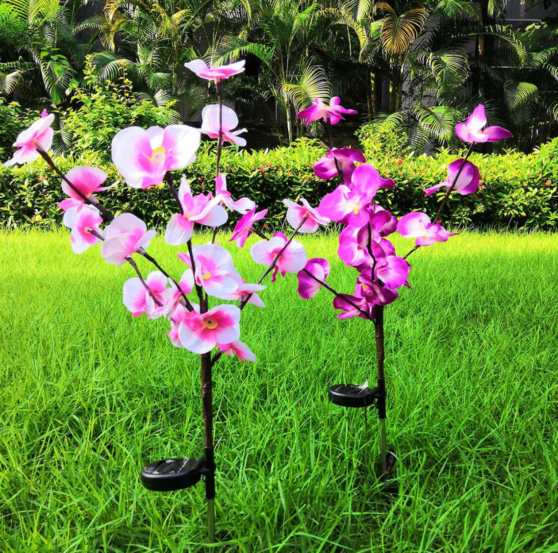 Lighteme 2er-Pack Solar-Orchideen-Blumenlichter - 40 Blumen 