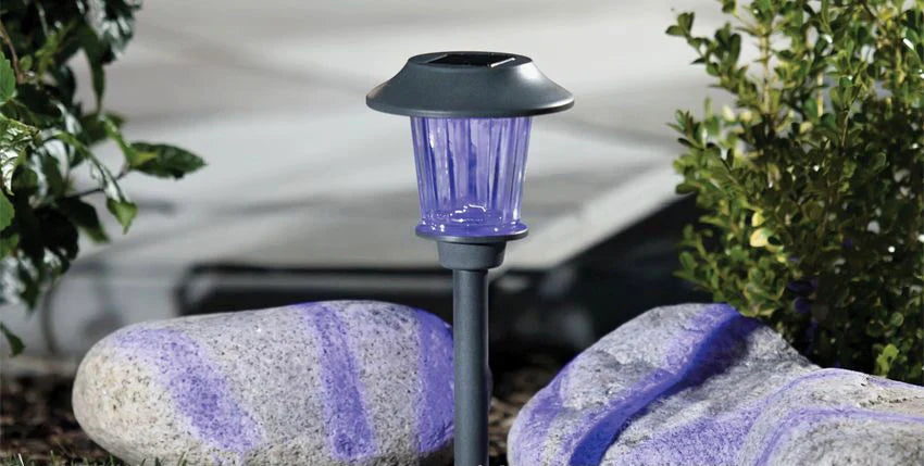 Lot de 8 lampes solaires LED Lighteme pour allées d'extérieur à changement de couleur - Acier inoxydable