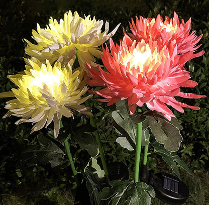 Lampe solaire LED Lighteme, chrysanthème artificiel (lot de 3)