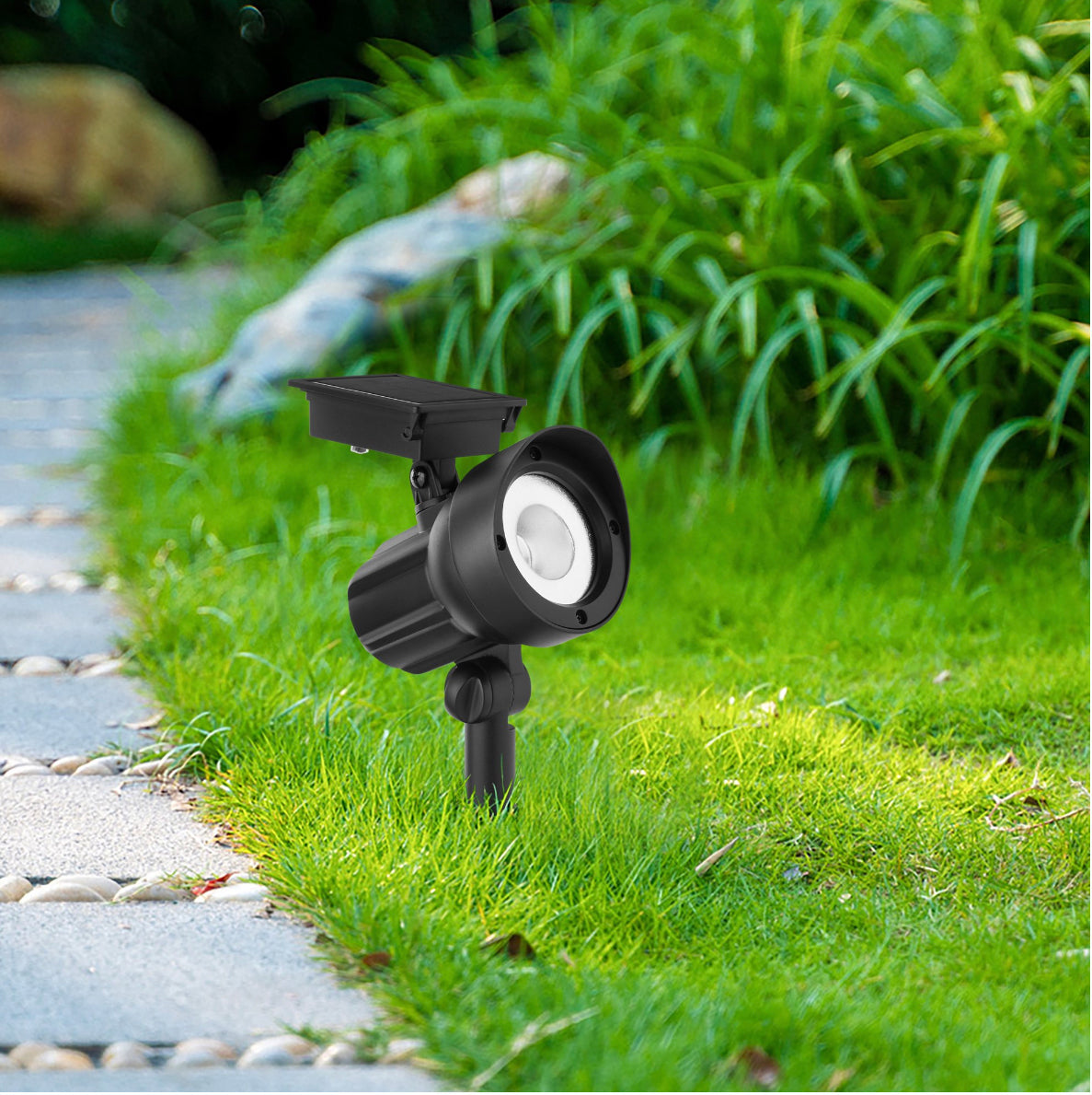 Lot de 5 spots solaires d'extérieur Lighteme 50 lumens, noir 