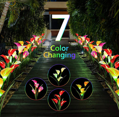 Lot de 4 lampes solaires à LED 4 couleurs Calla commun Lighteme 