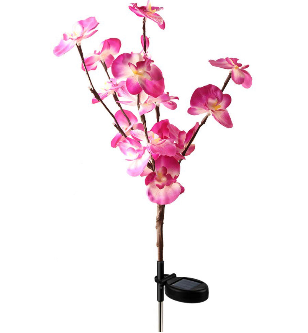 Lighteme 2er-Pack Solar-Orchideen-Blumenlichter - 40 Blumen 
