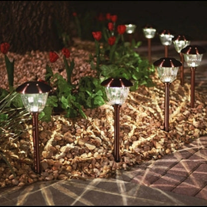 Lighteme LED Solar Pathway Lights New Model , 8-pack Powered
