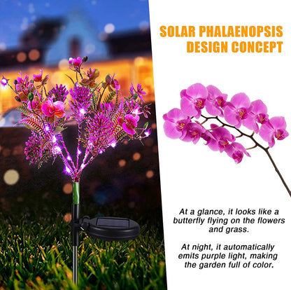 Lot de 2 lampes solaires Lighteme en forme de fleurs de phalaenopsis, étanches 