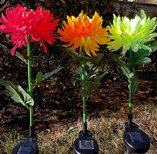Lighteme Solar LED Light Artificial Chrysanthemum Flower (3 Pack)