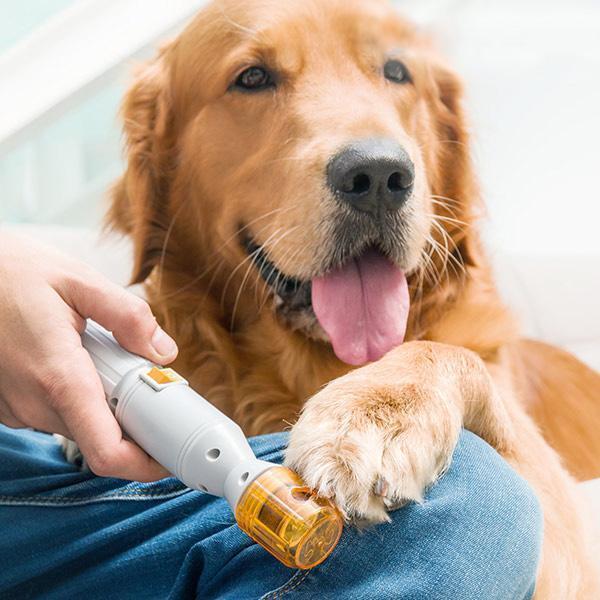 Lighteme Elektrischer Nagelknipser für Tiere