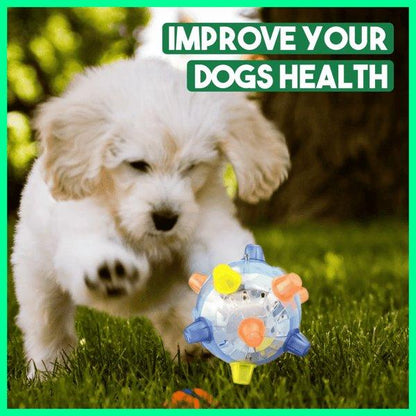 Balle d'activité sautante Lighteme pour chiens