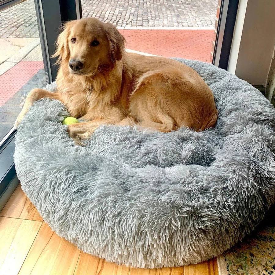Lit pour chien Lighteme Serene Comfort pour un sommeil réparateur
