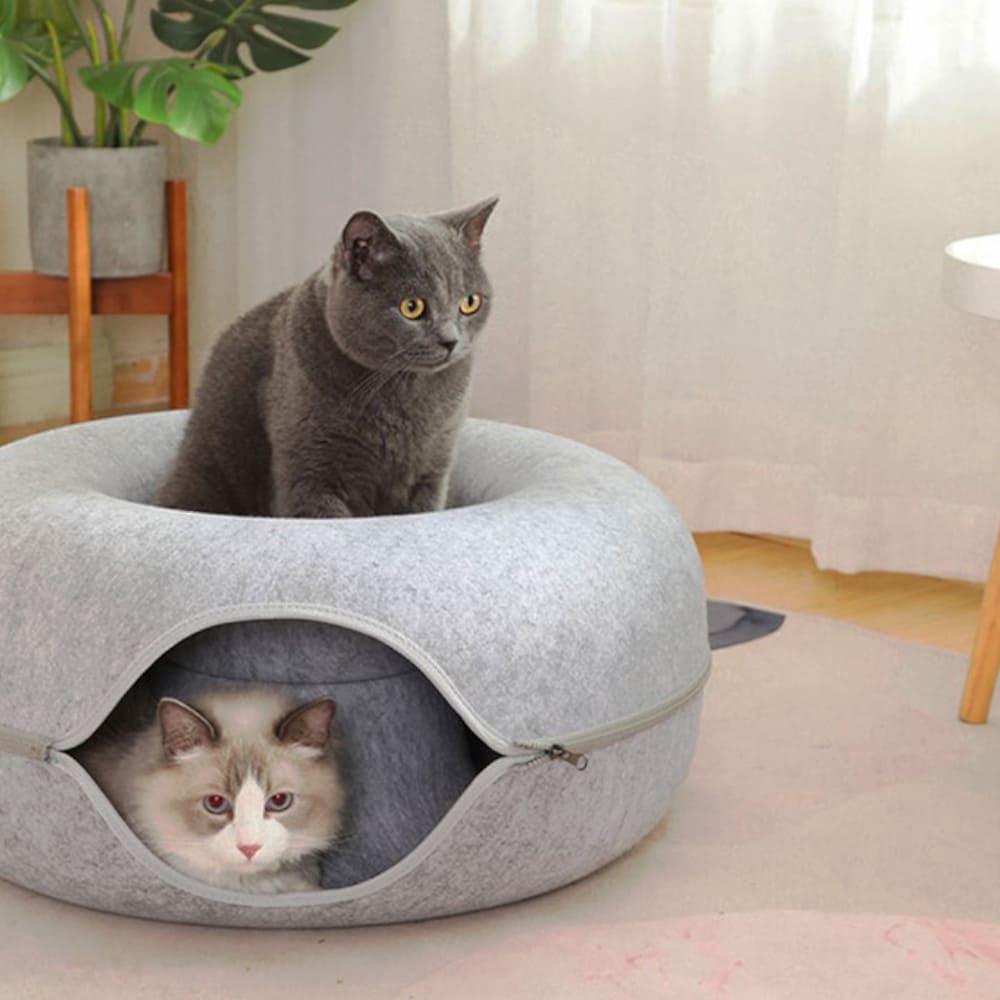 Lit tunnel confortable pour chat Lighteme pour jouer et se reposer