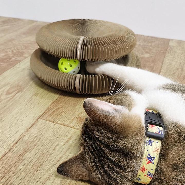 Lighteme Akkordeon-Katzenspielzeug