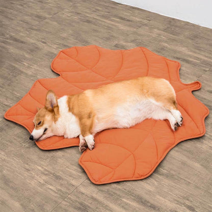 Couverture pour animaux de compagnie Lighteme inspirée de la nature – Élégante et confortable