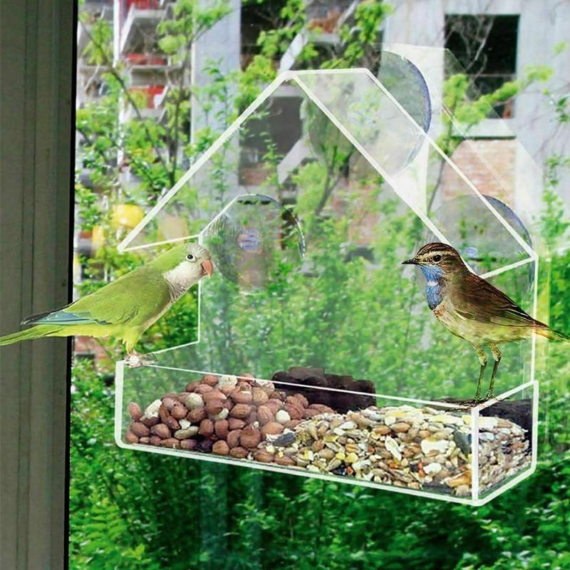Nichoir transparent montable Lighteme