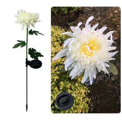 Lampe solaire LED Lighteme, chrysanthème artificiel (lot de 3)