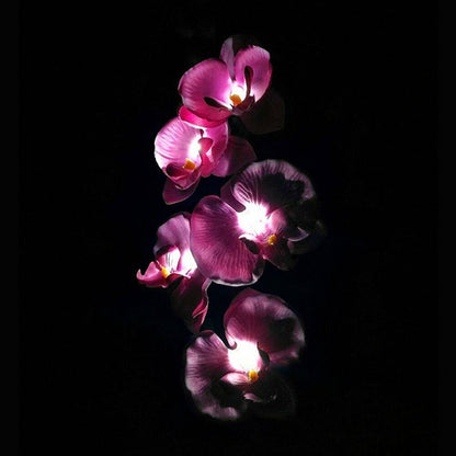 Lighteme 2er-Pack Solar-Orchideen-Blumenlichter - 40 Blumen 
