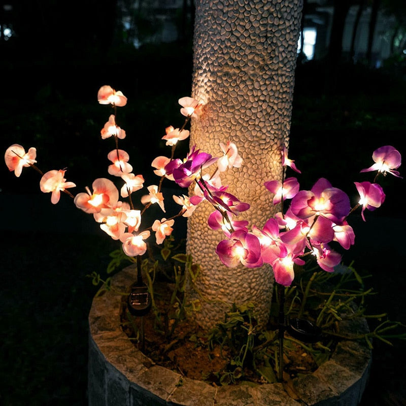 Lighteme 2er-Pack Solar-Orchideen-Blumenlichter - 40 Blumen 