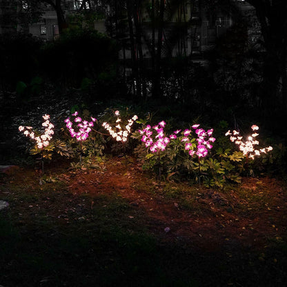 Lighteme 2er-Pack Solar-Orchideen-Blumenlichter - 40 Blumen 