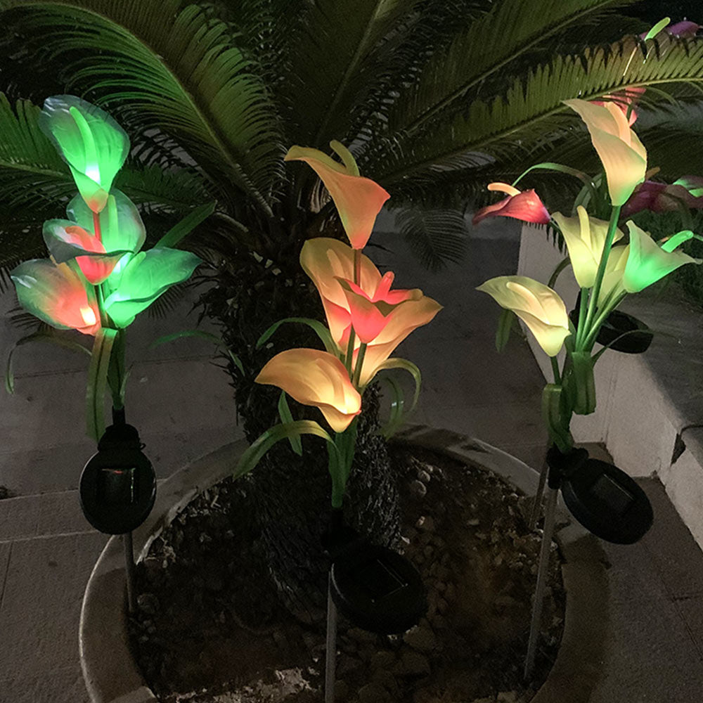 Lot de 4 lampes solaires à LED 4 couleurs Calla commun Lighteme 