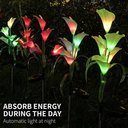 Lot de 4 lampes solaires à LED 4 couleurs Calla commun Lighteme 