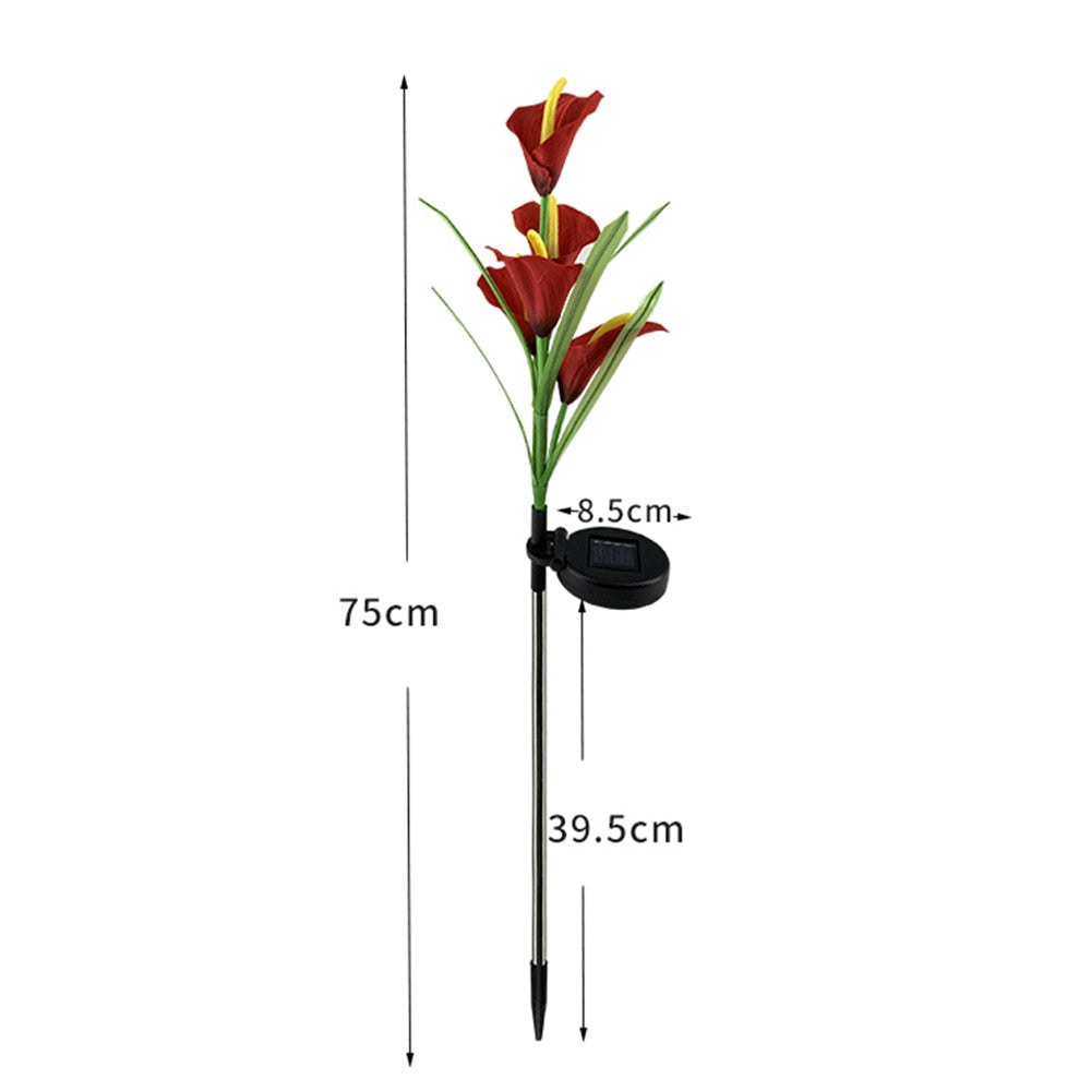 Lot de 4 lampes solaires à LED 4 couleurs Calla commun Lighteme 