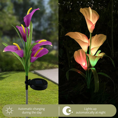 Lot de 4 lampes solaires à LED 4 couleurs Calla commun Lighteme 