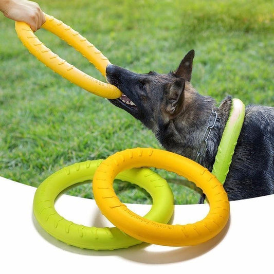 Lighteme Dog EVA-Wurfscheiben Haustier-Trainingsring Interaktives Hunde-Trainingsspielzeug (3 Farben &amp; 2 Größen)