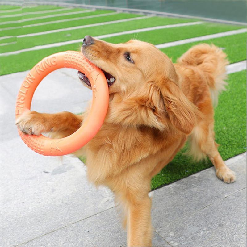 Disques volants Lighteme Dog EVA, anneau d'entraînement interactif pour chiens (3 couleurs et 2 tailles)