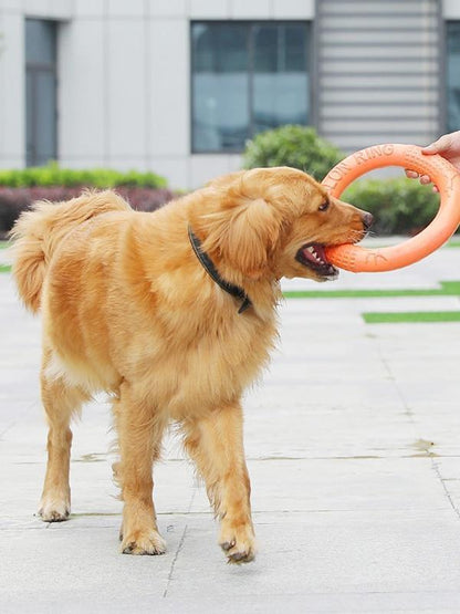 Disques volants Lighteme Dog EVA, anneau d'entraînement interactif pour chiens (3 couleurs et 2 tailles)