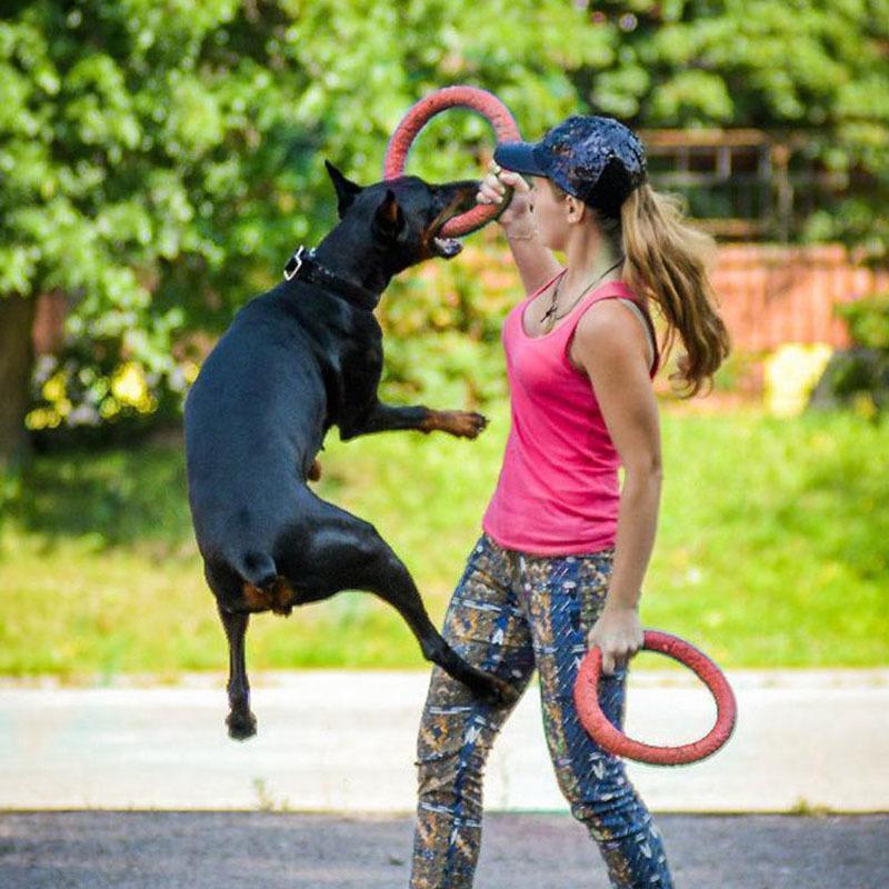 Disques volants Lighteme Dog EVA, anneau d'entraînement interactif pour chiens (3 couleurs et 2 tailles)