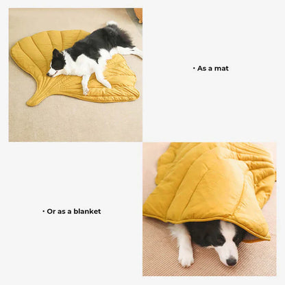 Couverture pour animaux de compagnie Lighteme inspirée de la nature – Élégante et confortable