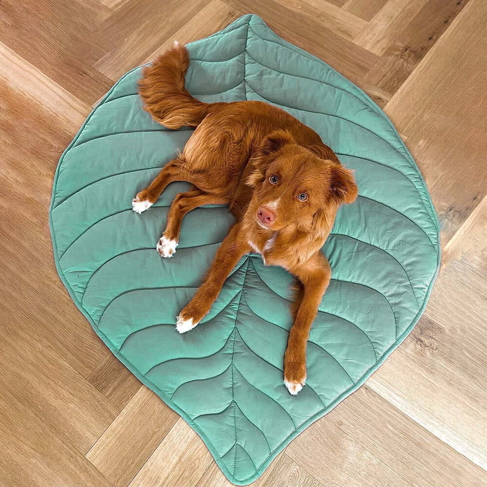 Couverture pour animaux de compagnie Lighteme inspirée de la nature – Élégante et confortable