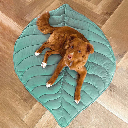 Couverture pour animaux de compagnie Lighteme inspirée de la nature – Élégante et confortable