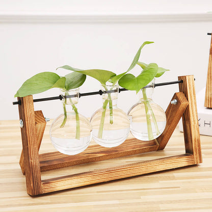 Vase hydroponique à cadre en bois Lighteme