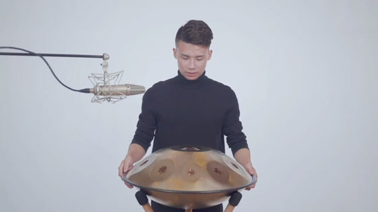 AS TEMAN Handpan Polaris 10 Notes D Minor Scale Golden hangdrum with gift set